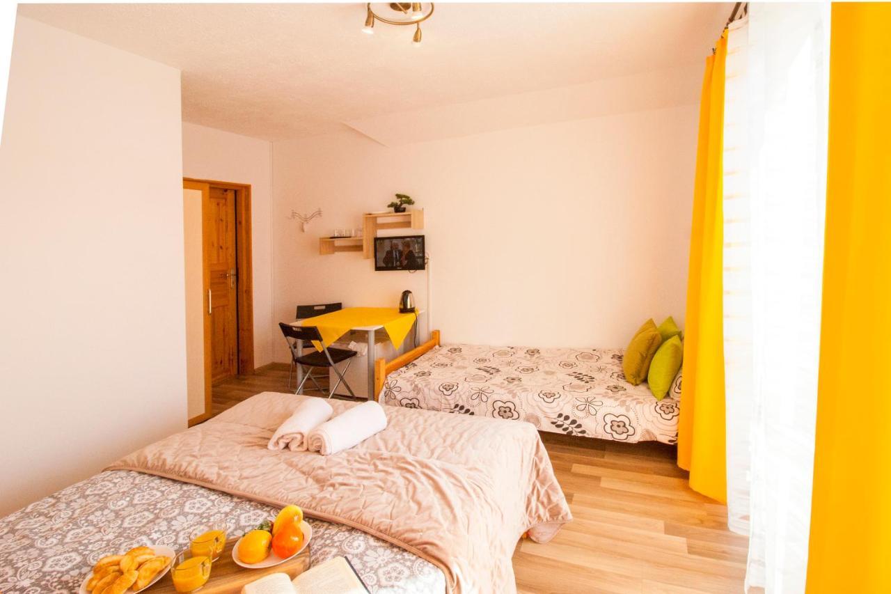 Bieszczadzki Brat Apartamenty Polanczyk Exterior photo